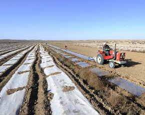 宁夏海原县 搞笑图片